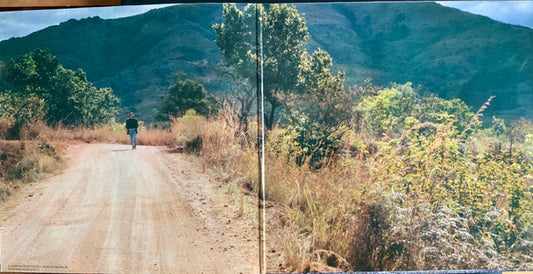 Eric Clapton : Journeyman (LP, Album, Gat)