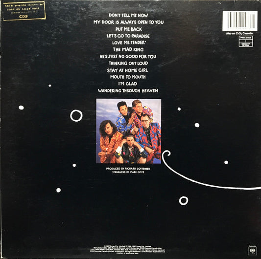 Mental As Anything : Mouth To Mouth (LP, Album)