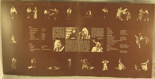 Ache  - Green Man (LP) (Very Good (VG)) - Skanderborg Vinyl