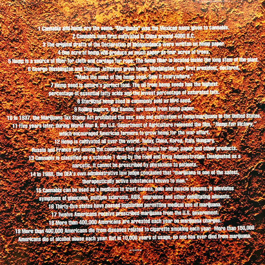 Cypress Hill - Black Sunday (2xLP) (Very Good (VG)) - Skanderborg Vinyl