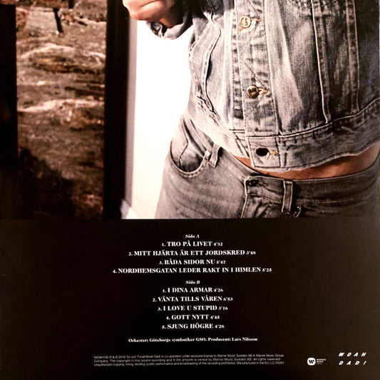 Håkan Hellström : Illusioner (LP, Album)