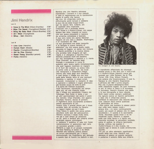Jimi Hendrix : Jimi Hendrix (LP, Comp)