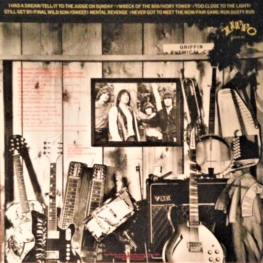 The Long Ryders : Native Sons (LP, Album)