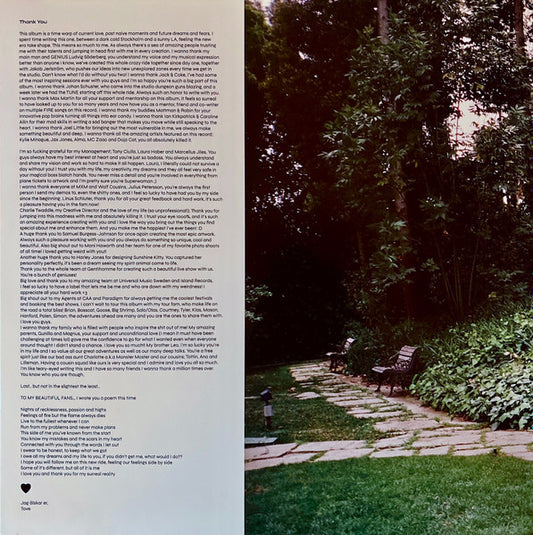 Tove Lo : Sunshine Kitty (LP, Album)