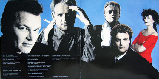 Dodo And The Dodo's - Dodo And The Dodo's (LP) (Very Good Plus (VG+)) - Skanderborg Vinyl