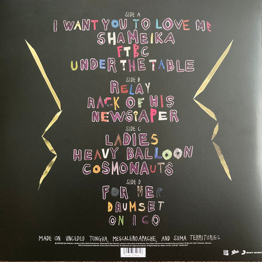 Fiona Apple - Fetch The Bolt Cutters (2xLP) (Mint (M)) - Skanderborg Vinyl