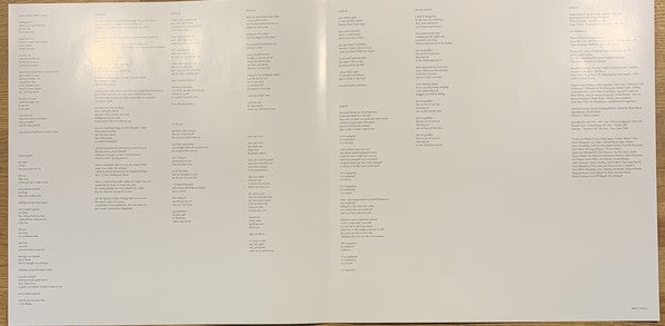 Kashmir (2) : The Good Life (LP, Album, RE, 180)