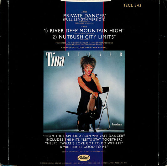 Tina Turner : Private Dancer (Full Length Version) (12")