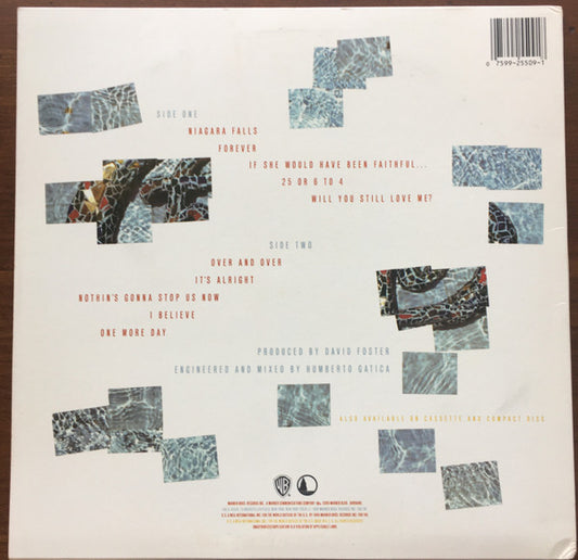 Chicago - Chicago 18 (LP) (Very Good Plus (VG+)) - Skanderborg Vinyl