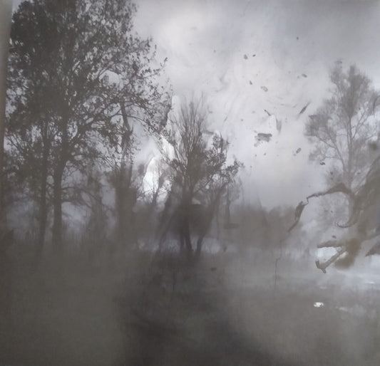 Alice Cooper (2) : Paranormal (2xLP, Album, RE)