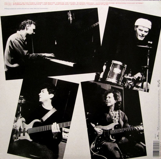 Bruce Hornsby And The Range - A Night On The Town (LP) (Very Good Plus (VG+)) - Skanderborg Vinyl