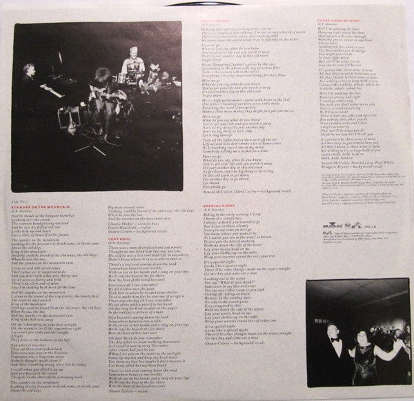 Bruce Hornsby And The Range : A Night On The Town (LP, Album)