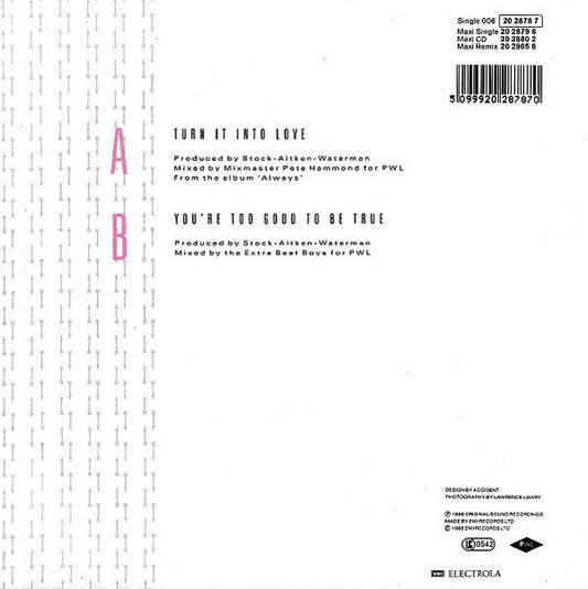 Hazell Dean : Turn It Into Love (7", Single)