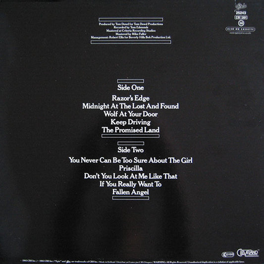 Meat Loaf : Midnight At The Lost And Found (LP, Album)