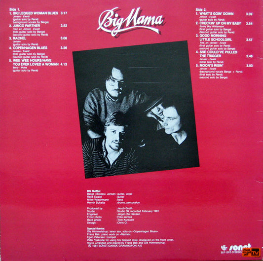 Big Mama - Big Mama (LP) (Very Good Plus (VG+)) - Skanderborg Vinyl