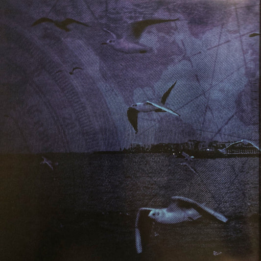 Soilwork : Övergivenheten (2xLP, Album, Ltd, Blu)