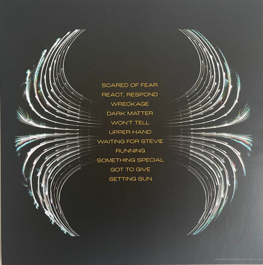 Pearl Jam : Dark Matter (LP, Album)