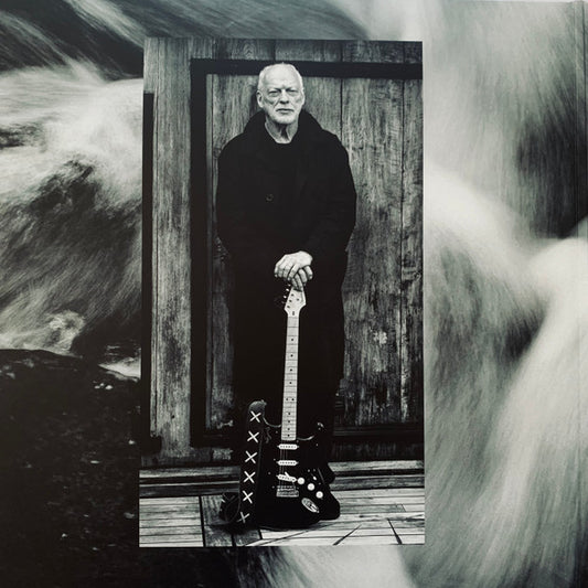 David Gilmour : Luck And Strange (LP, Album, Sea)