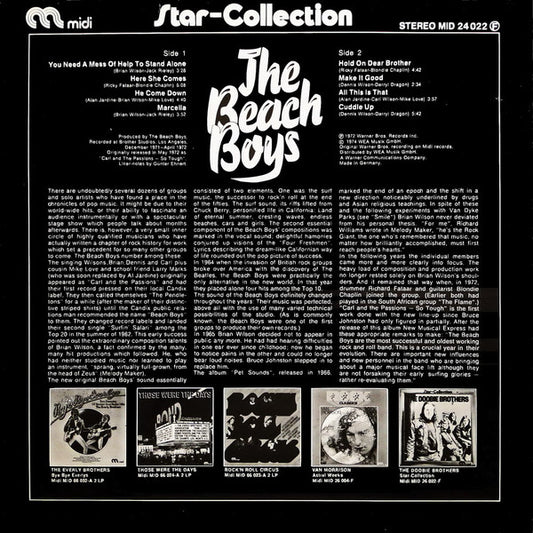 The Beach Boys : The Beach Boys (LP, Album)