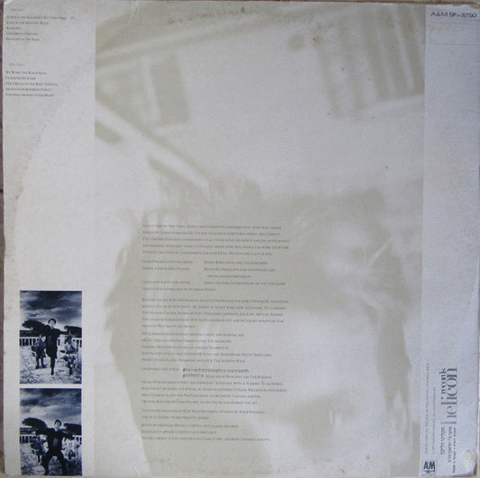 Sting : The Dream Of The Blue Turtles (LP, Album)