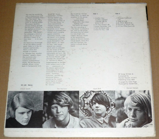 The David - Another Day, Another Lifetime (LP) (Very Good Plus (VG+)) - Skanderborg Vinyl