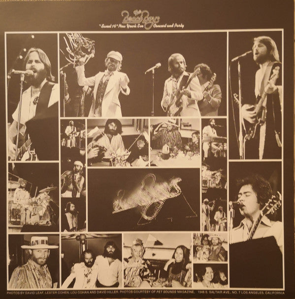 The Beach Boys : Love You (LP, Album)