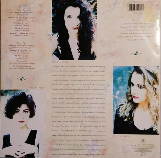 The Graces - Perfect View (LP) (Very Good Plus (VG+)) - Skanderborg Vinyl