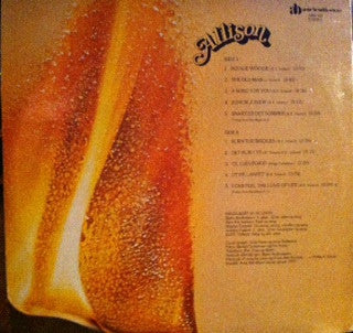 Allison - Allison (LP) (Very Good Plus (VG+)) - Skanderborg Vinyl