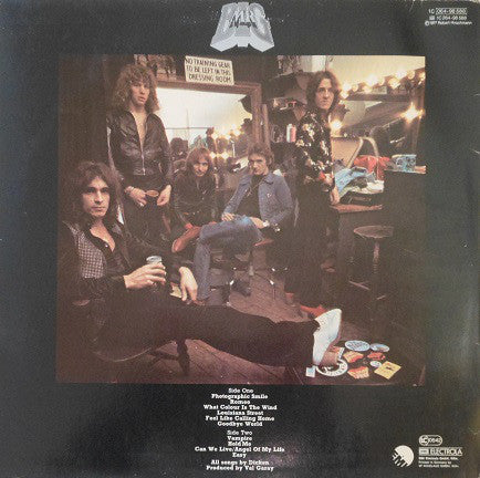 Mr. Big* : Mr. Big (LP, Album)