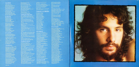 Cat Stevens - Teaser And The Firecat (LP) (Very Good Plus (VG+)) - Skanderborg Vinyl