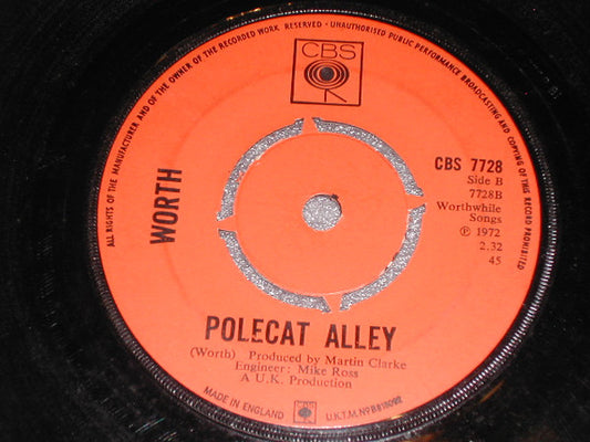 Worth (2) : Don't Say You Don't (7", Single)