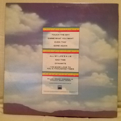 Smokey Robinson : Touch The Sky (LP, Album)