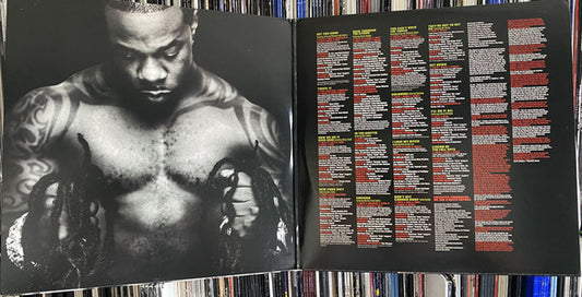 Busta Rhymes - The Big Bang (2xLP) (Very Good Plus (VG+)) - Skanderborg Vinyl