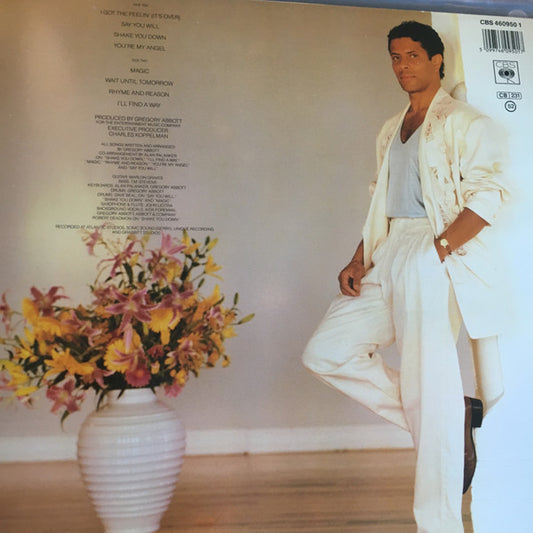 Gregory Abbott : Shake You Down (LP, Album)