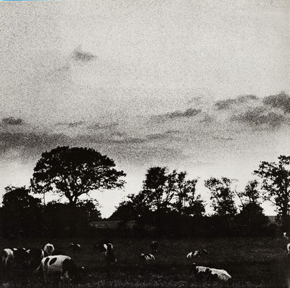 Pink Floyd : Atom Heart Mother (LP, Album, RP, Gat)
