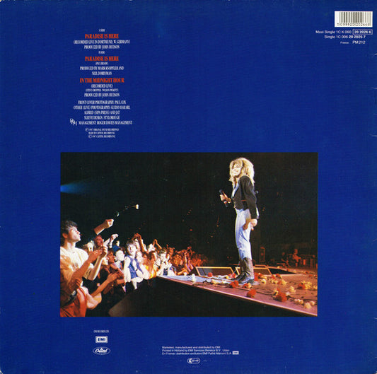 Tina Turner : Paradise Is Here (12", Maxi)