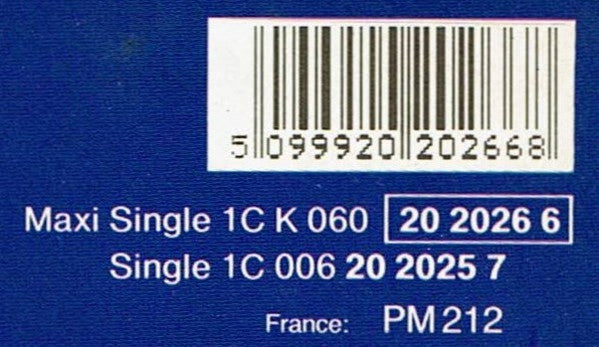 Tina Turner : Paradise Is Here (12", Maxi)