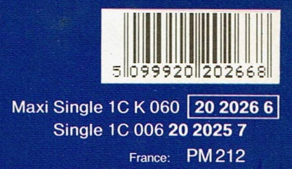 Tina Turner : Paradise Is Here (12", Maxi)