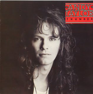 Andy Taylor : Thunder (LP, Album)