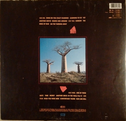 Pink Floyd : Delicate Sound Of Thunder (2xLP, Album, Gat)