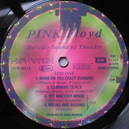 Pink Floyd : Delicate Sound Of Thunder (2xLP, Album, Gat)