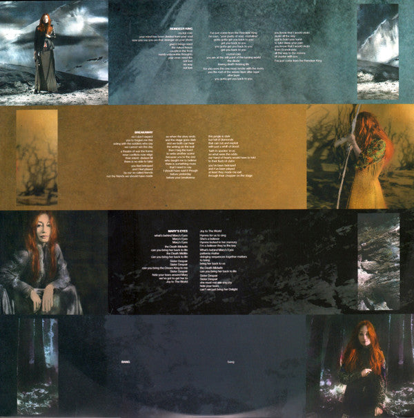 Tori Amos : Native Invader (2xLP, Album)
