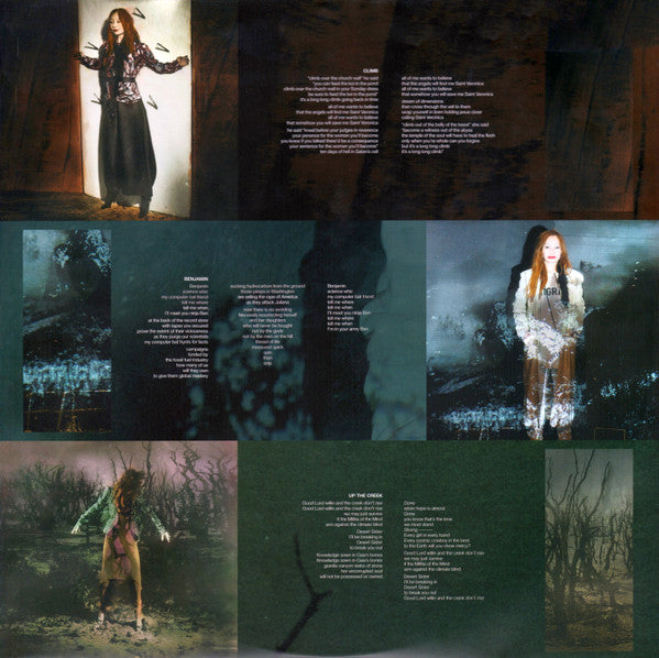 Tori Amos : Native Invader (2xLP, Album)