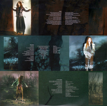 Tori Amos : Native Invader (2xLP, Album)