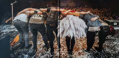 Delain : A Decade Of Delain - Live At Paradiso (3xLP, Album, Ltd, Gol)