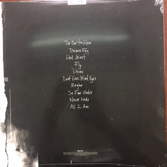 Alice In Chains : Rainier Fog (LP + LP, S/Sided, Etch + Album, 180)