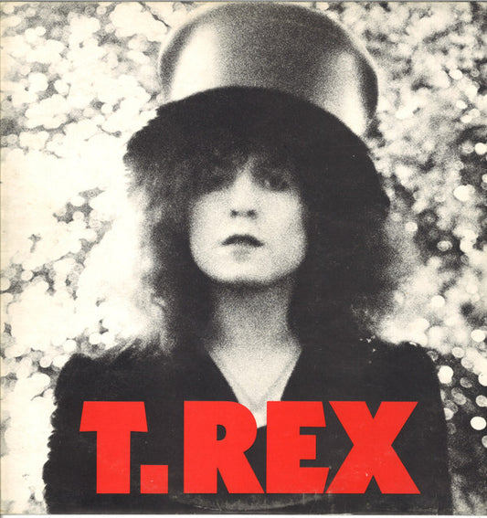 T. Rex : The Slider (LP, Album)