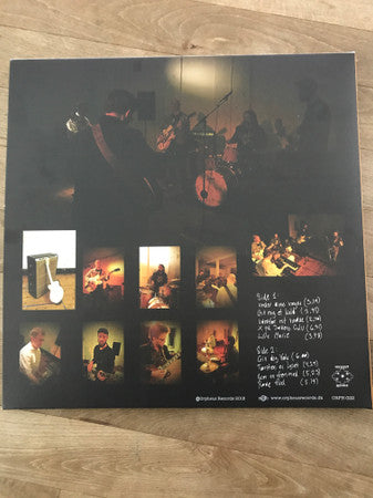 Vilde Græs : Vilde Græs (LP, Album)