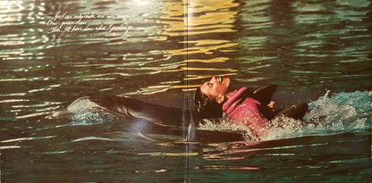 Olivia* : Physical (LP, Album, Gat)