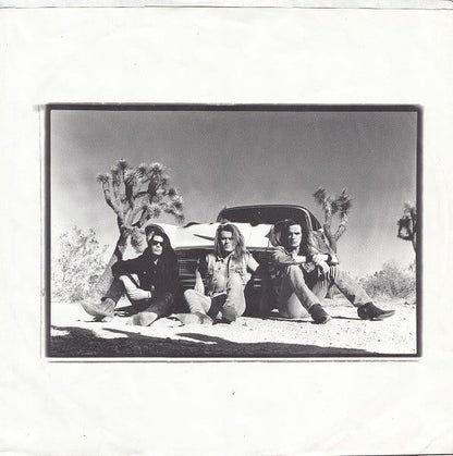 The Cult : Sonic Temple (LP, Album, Spe)